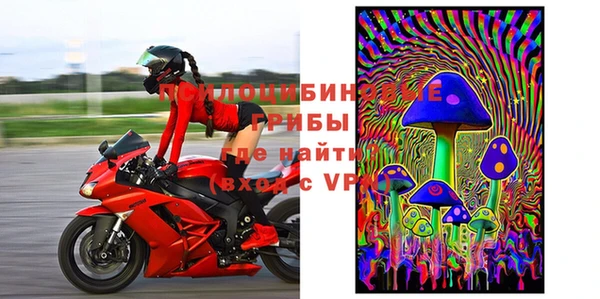 сатива Вязьма