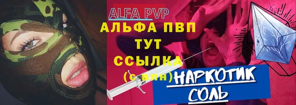 сатива Вязьма
