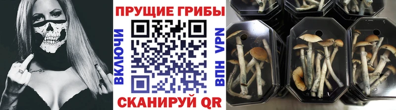 кракен рабочий сайт  Карабаново  Псилоцибиновые грибы мухоморы 